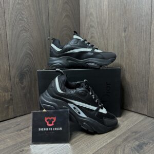 DIOR B22